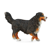BERNESE MOUNTAIN DOG (L)