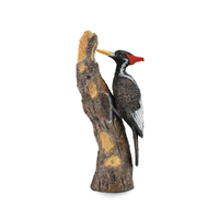 IVORY-BILLED WOODPECKER (L)