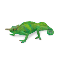 CAMEROON SAILFIN CHAMELEON (L)