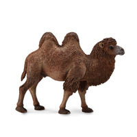 BACTRIAN CAMEL (L)
