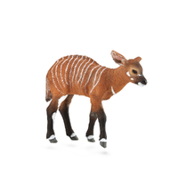 BONGO CALF (M)