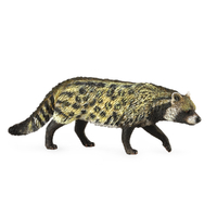 AFRICAN CIVET (M)