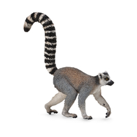 RING-TAILED LEMUR (M)