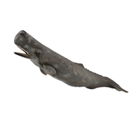 SPERM WHALE (XL)