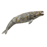 GRAY WHALE (XL)