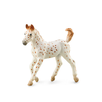 KNABSTRUPPER FOAL LEOPARD (M)