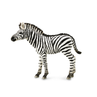 ZEBRA FOAL (M)