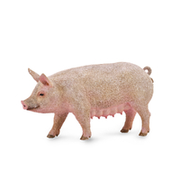 PIG - SOW (M)