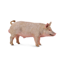 PIG - BOAR (M)