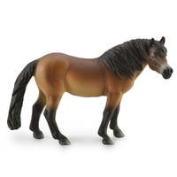 EXMOOR PONY STALLION (L)