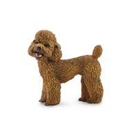 POODLE (M)