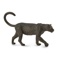 BLACK LEOPARD (L)