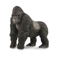 MOUNTAIN GORILLA (L)