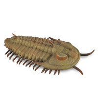 REDLICHIA REX TRILOBITE (L)