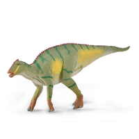 KAMUYSAURUS (M)