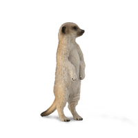 MEERKAT (S)