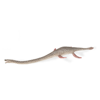 ELASMOSAURUS (L)