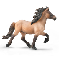 ICELANDIC STALLION - BAY DUN (XL)