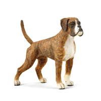 BOXER (L)