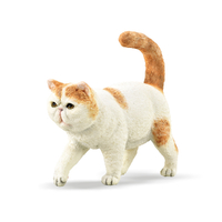 CAT EXOTIC SHORTHAIR (S)
