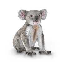 KOALA (M)