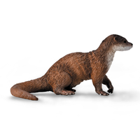 COMMON OTTER (M)