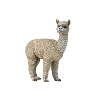 ALPACA (M)