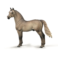 MORGAN STALLION SILVER GRULLA (XL)