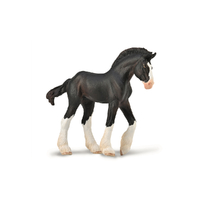 CLYDESDALE FOAL BLACK (M)