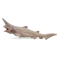 GOBLIN SHARK (L)