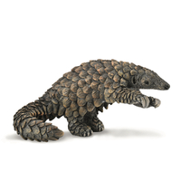 PANGOLIN (L)