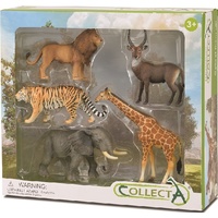 GIFT SET - WILD 5 PCE (WB) ^