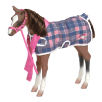 QUARTER HORSE FOAL